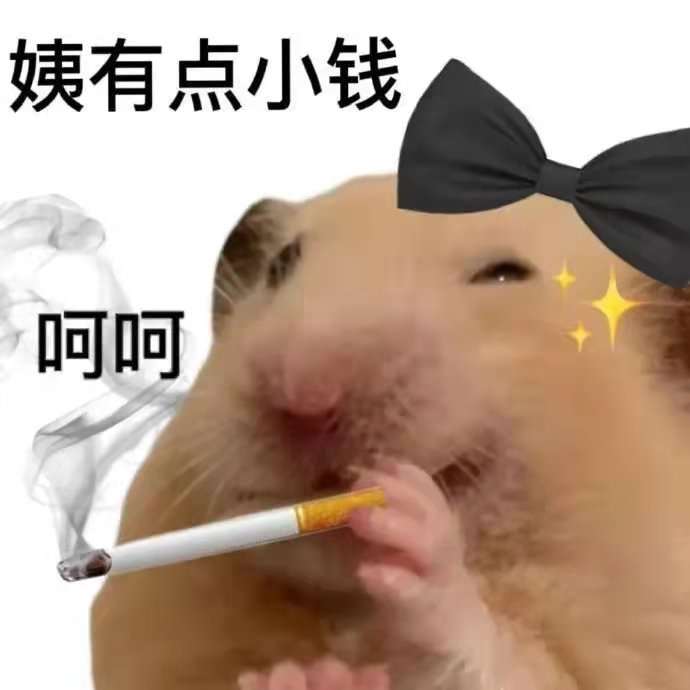 姨有点小钱呵呵