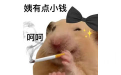 姨有点小钱呵呵