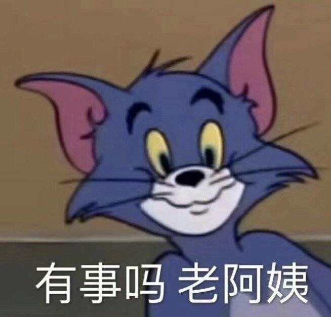 有事吗 老阿姨（汤姆猫表情包）