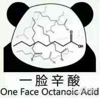 一脸辛酸（One Face Octanoic Acid） - 因为我好看就欺负我，实在是太不应该了（无节操金馆长）