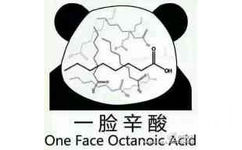 一脸辛酸（One Face Octanoic Acid） - 因为我好看就欺负我，实在是太不应该了（无节操金馆长）