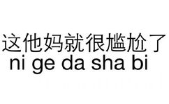 这他妈就很尴尬了（ni ge da sha bi） - 做人呢，最重要的是不能让别人开心（纯文字表情系列）