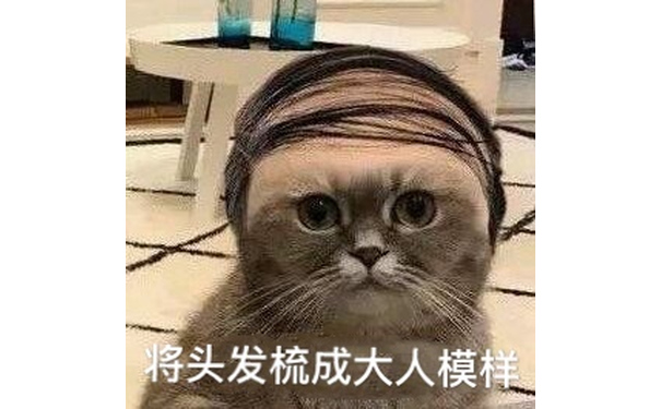 将头发梳成大人模样（猫咪）