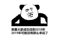 恭喜大家成功活到2018年，2019可能没有那么幸运了 - 熊猫头2019年新年表情包