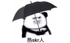 热 skr 人（熊猫头打伞表情包）