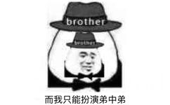 brother而我只能扮演弟中弟 - 近期热门斗图表情包精选