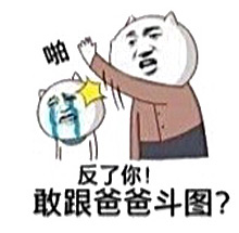 反了你！敢跟爸爸斗图？ - 我就给你竖个中指