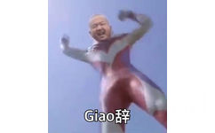 告辞（giao辞 giao哥）