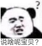 说啥呢宝贝？（熊猫头表情包）