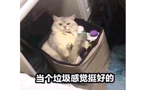 当个垃圾感觉挺好的（猫咪躺垃圾桶里）