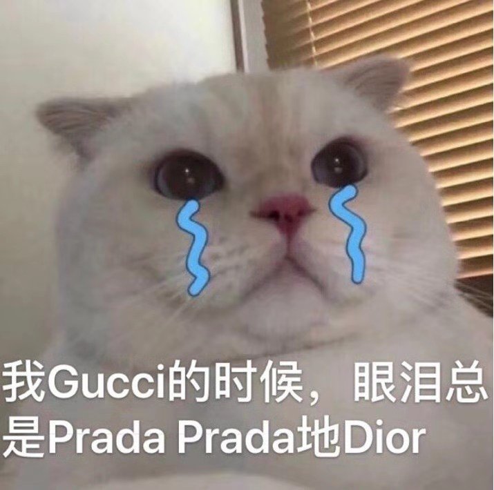 我的时候,眼泪总是 Prada Pradat地Dior