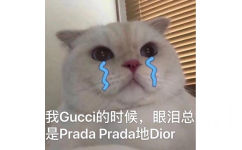 我的时候,眼泪总是 Prada Pradat地Dior