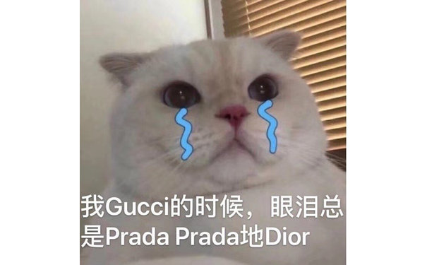 我的时候,眼泪总是 Prada Pradat地Dior