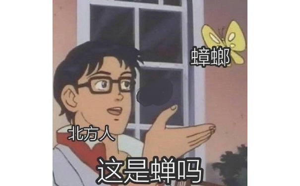 No蟑螂北方人这是蝉吗