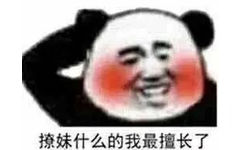 撩妹什么的我最擅长了（熊猫头）