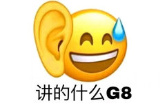 讲的什么G8