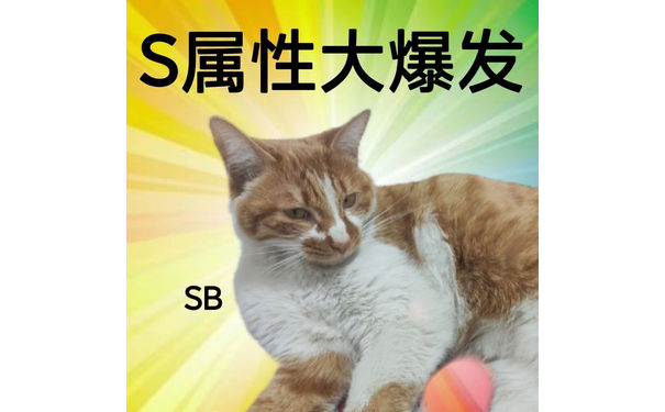 S属性大爆发SB