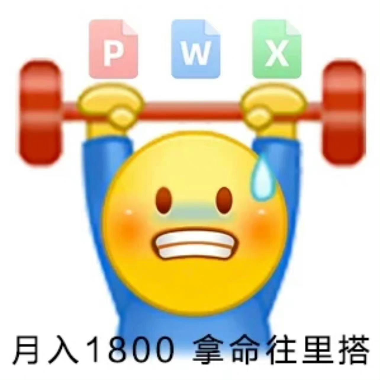 PWX月入1800拿命往里搭