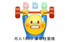 PWX月入1800拿命往里搭