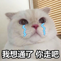 我想通了，你走吧（猫咪）