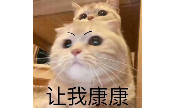 猫咪让我康康