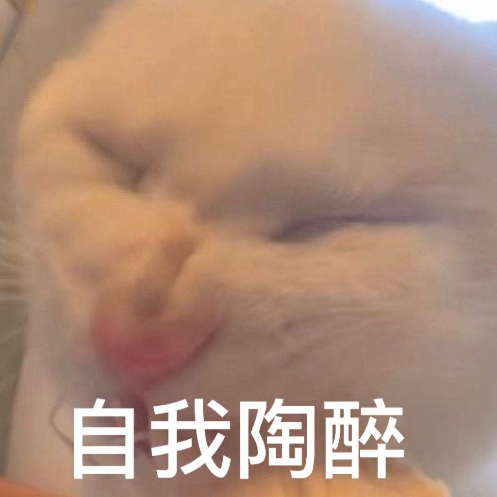 自我陶醉 - 奇怪的猫猫表情包增加了