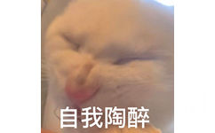 自我陶醉 - 奇怪的猫猫表情包增加了