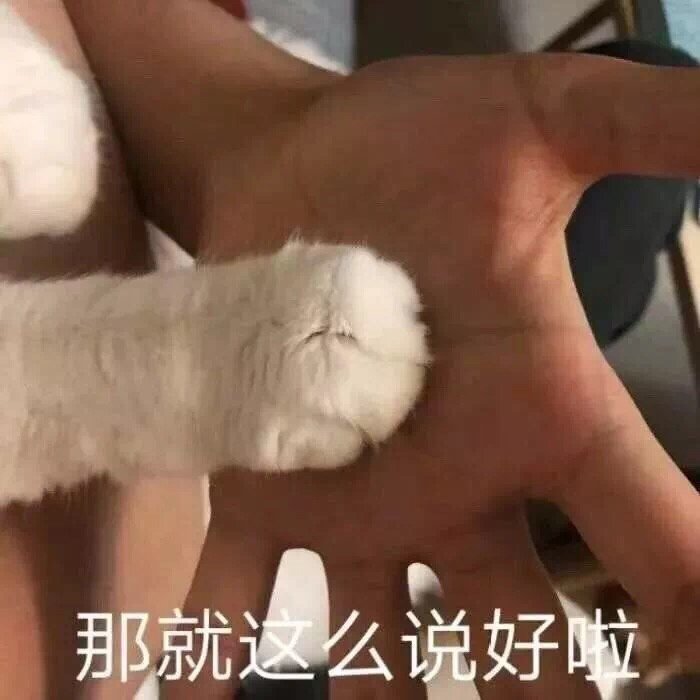 那就这么说好啦