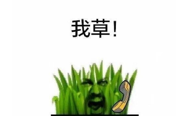 我草！ - 我日，我日啊！我草，我草啊！