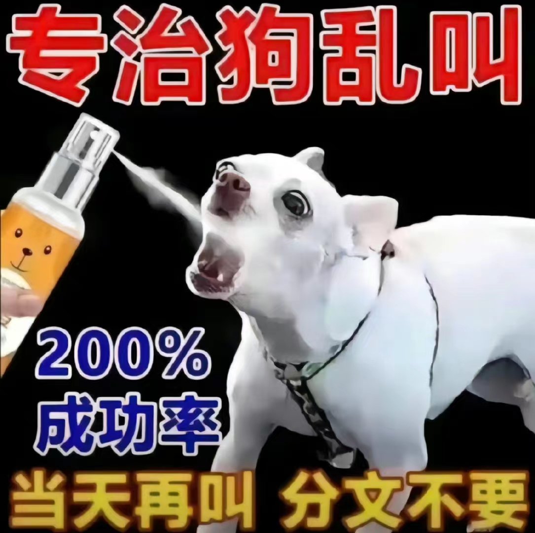 专治狗乱叫200%成功率当天再叫分文不要