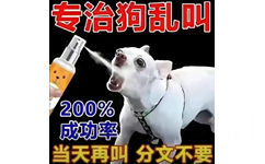 专治狗乱叫200%成功率当天再叫分文不要