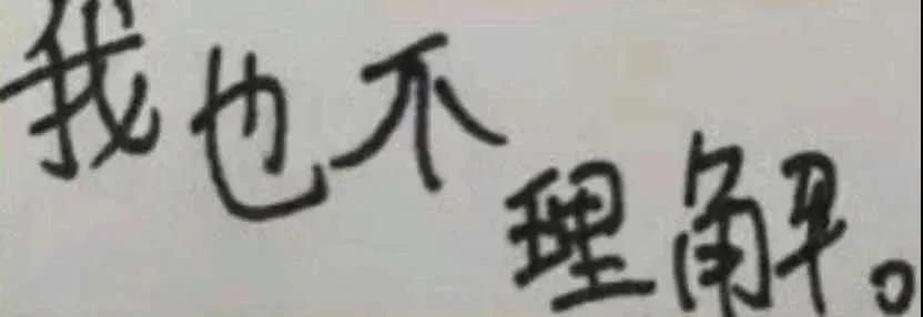 我也不理解 - 手写字体文字表情包 ​