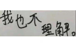 我也不理解 - 手写字体文字表情包 ​