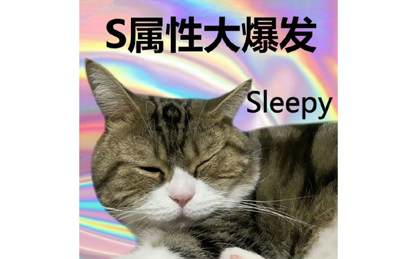 S属性大爆发Sleepy - S属性大爆发表情包 ​