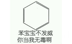 苯宝宝不发威 你当我无毒啊 - 化学系宝宝们专用表情包