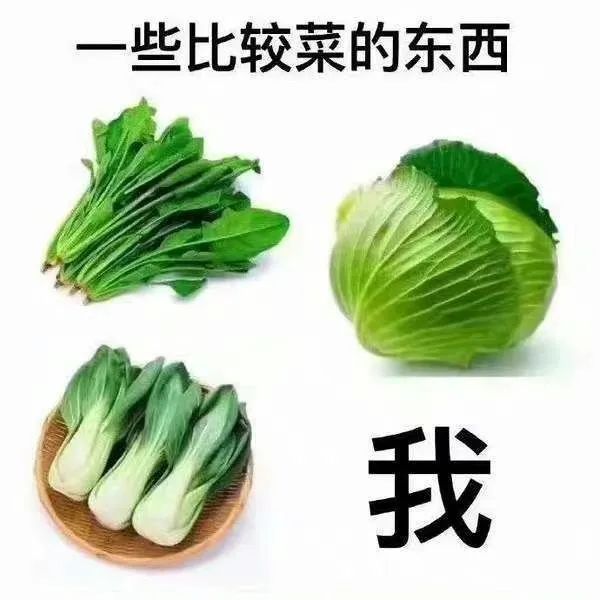 一些比较菜的东西我