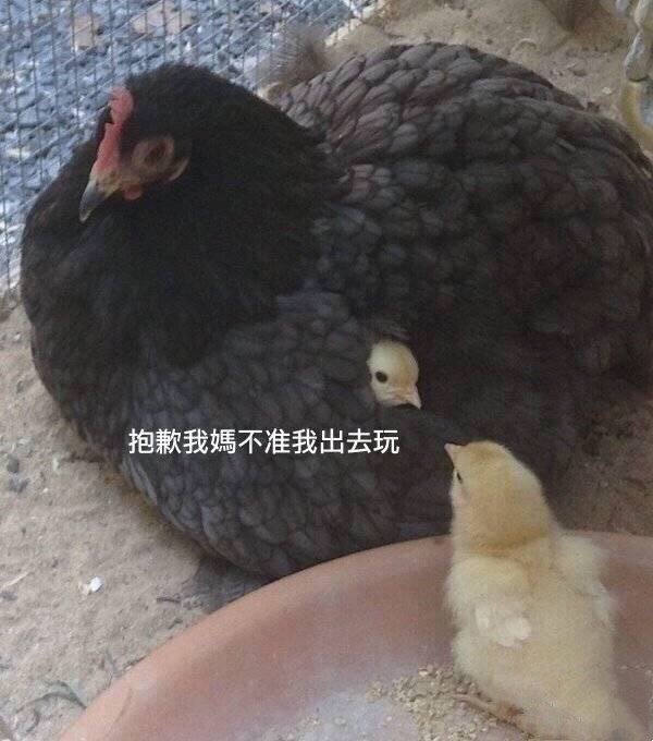 抱歉我妈不让我出去玩