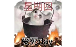 星期四受死day(猫猫表情包)