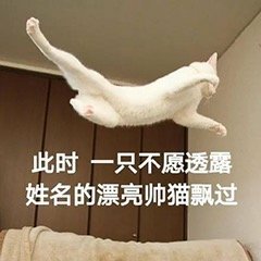 此时 一只不愿意透露姓名的漂亮帅猫飘过