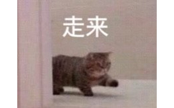 走来(猫猫表情包)