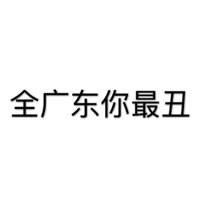 广东你最丑(文字表情包)