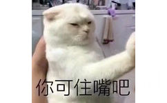 你可住嘴吧  猫咪表情包