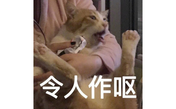 令人作呕(猫咪)