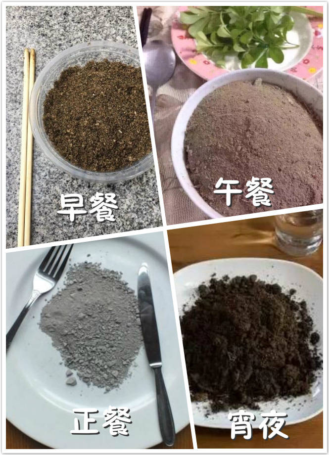 双十一剁手后，这个月都得吃土了 - 这个月的菜单——土！剁手一时爽，转眼就吃土