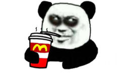 黑眼圈熊猫头喝饮料