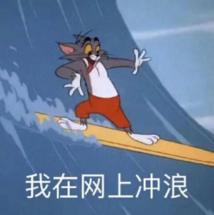 我在网上冲浪 汤姆猫表情包