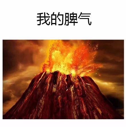 我的脾气 - 太扎心了，是我本人没错了！ ​