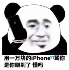 用一万块的ipHone 11骂你是你赚到了懂吗(熊猫头怼人表情包)