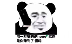 用一万块的ipHone 11骂你是你赚到了懂吗(熊猫头怼人表情包)