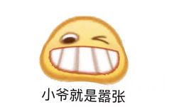 小爷就是嚣张